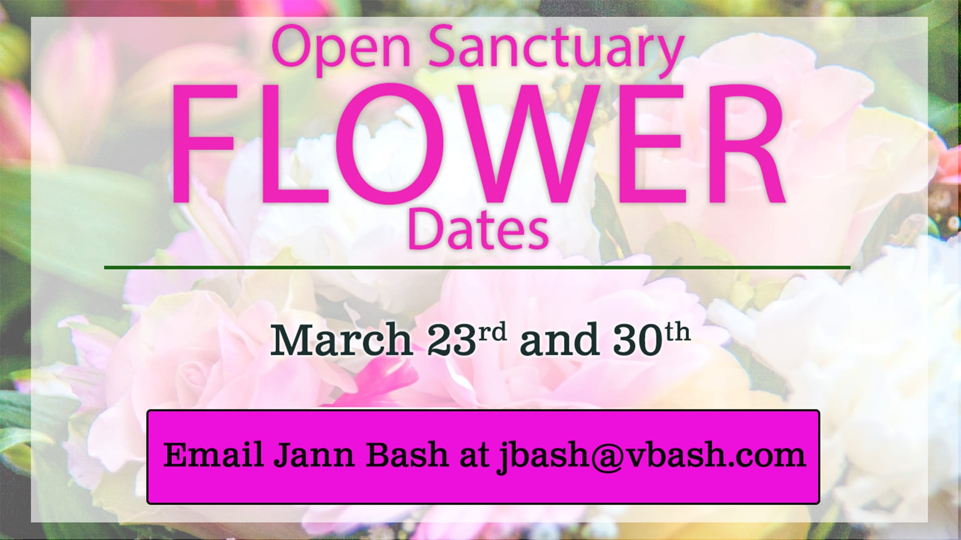 Open Sanctuary Flower Dates