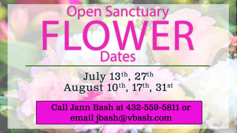 Open Sanctuary Flower Dates