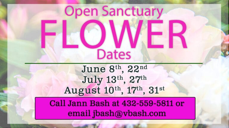 Open Sanctuary Flower Dates