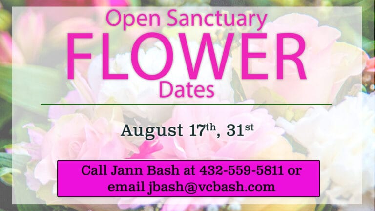 Open Sanctuary Flower Dates