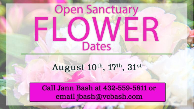 Open Sanctuary Flower Dates