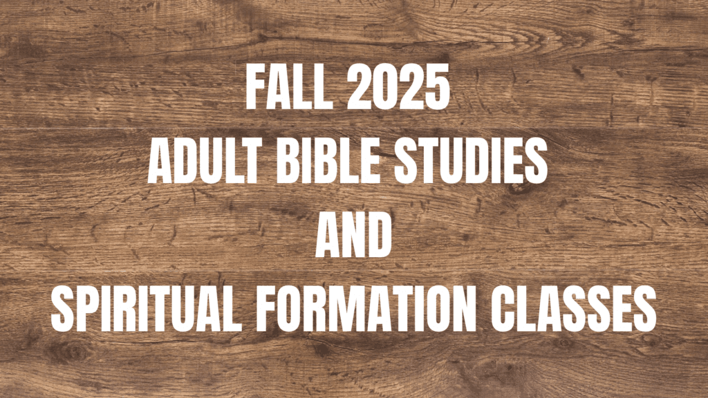 Adult Bible Studies