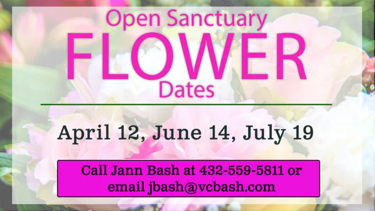 Open Sanctuary Flower Dates
