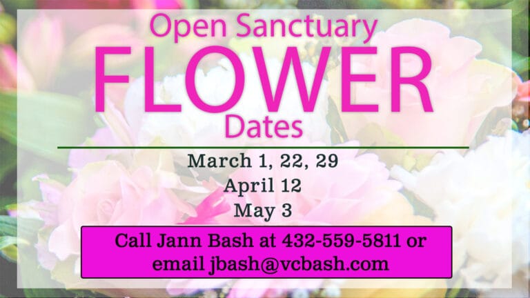 Open Sanctuary Flower Dates