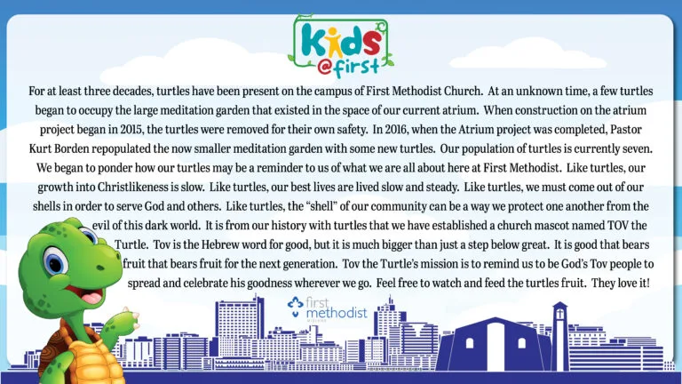 TOV the Turtle