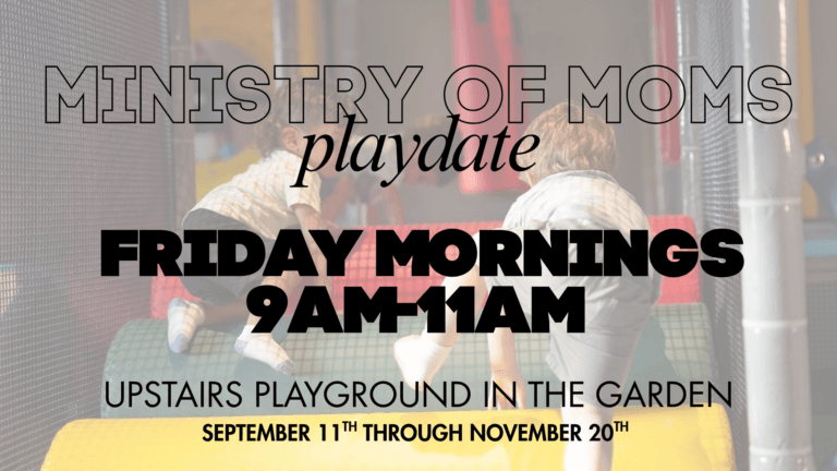 Ministry of Moms Playdate