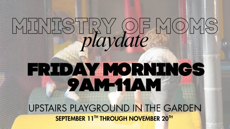 Ministry of Moms Playdate