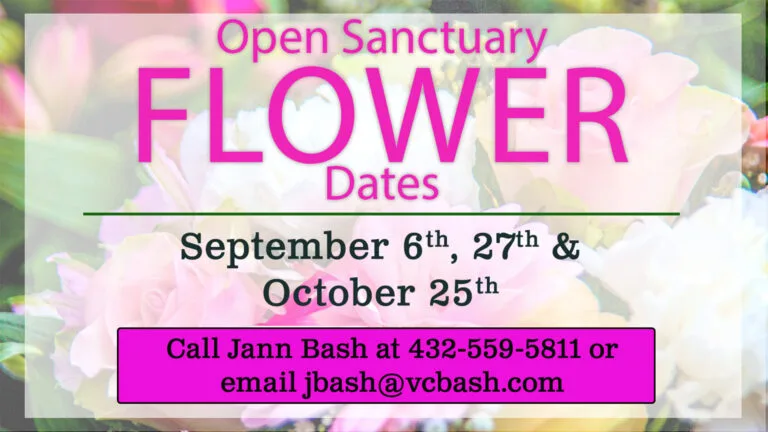 Open Sanctuary Flowers