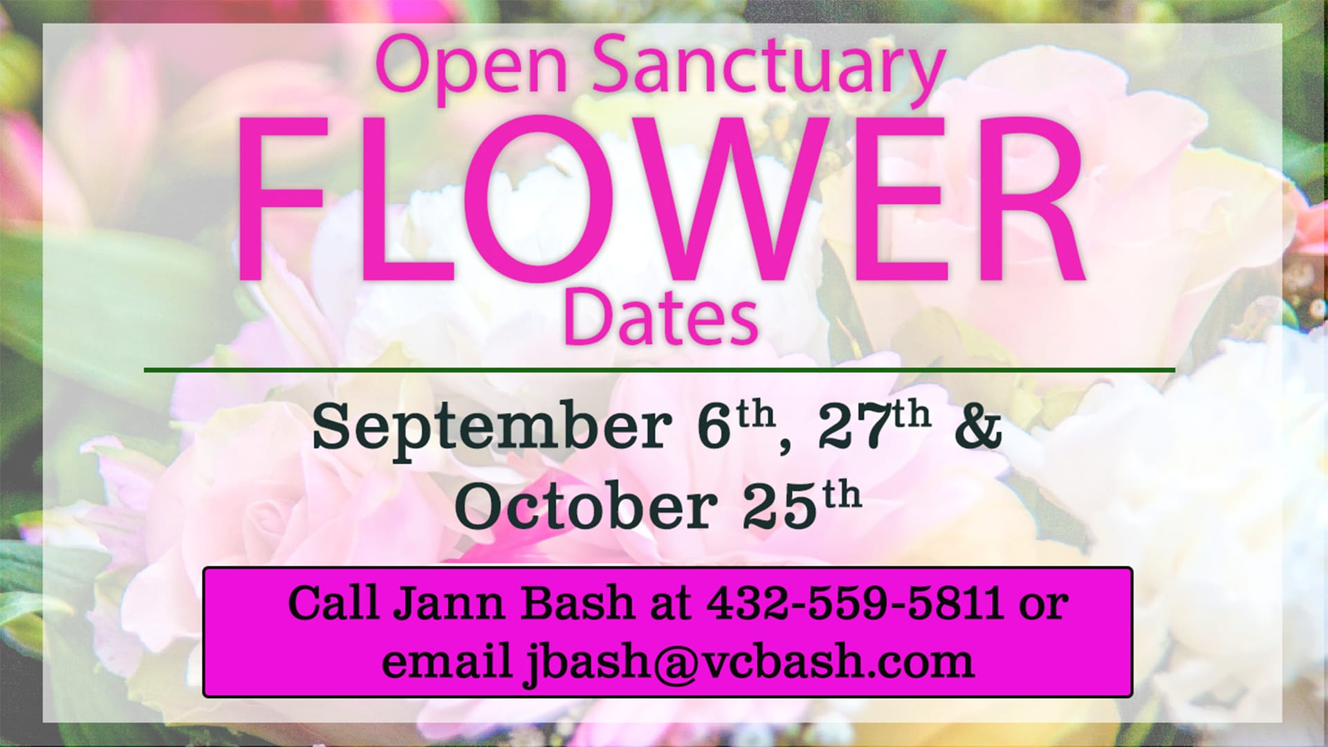 Open Sanctuary Flowers
