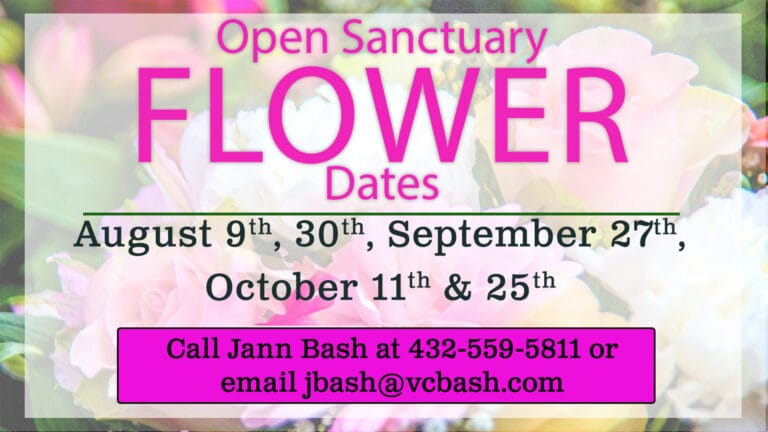 Open Sanctuary Flowers