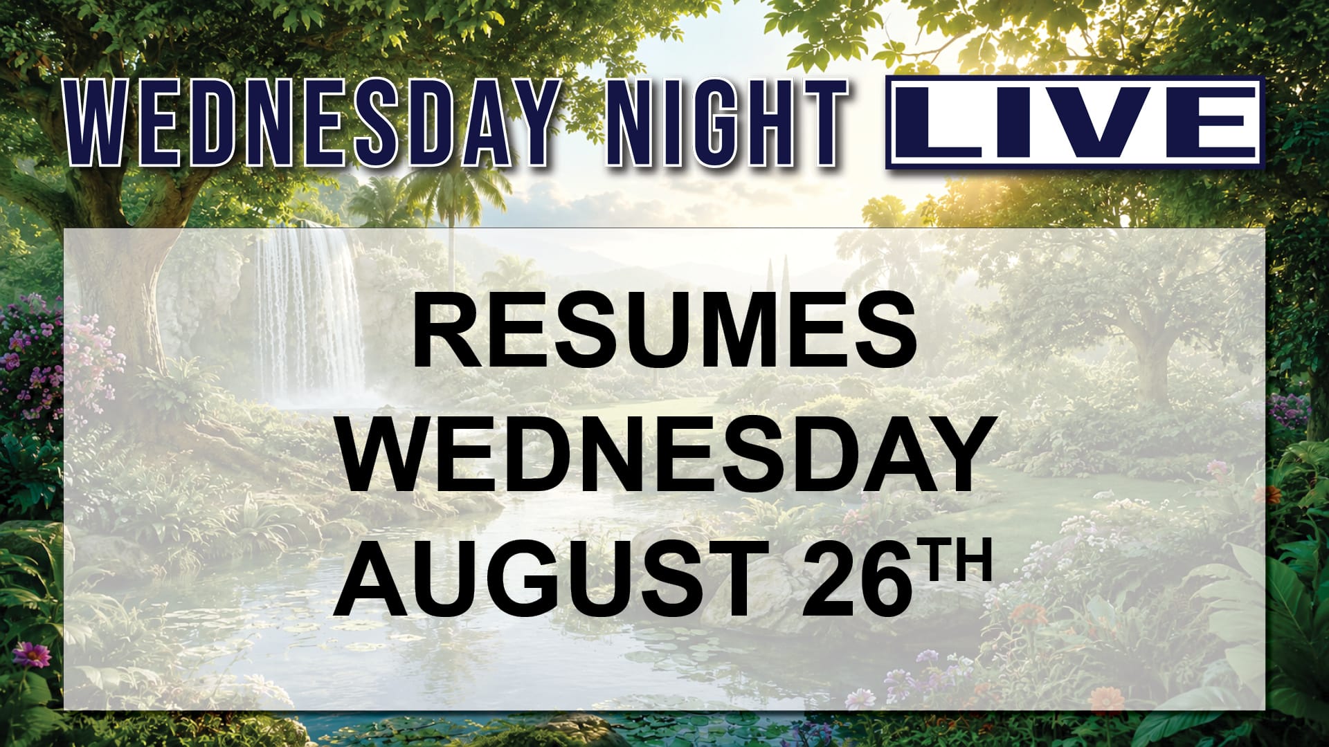 WNL Returning Schedule Click For More Wednesday Night Live Resumes